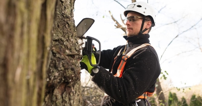 Why Arborists Need Insurance